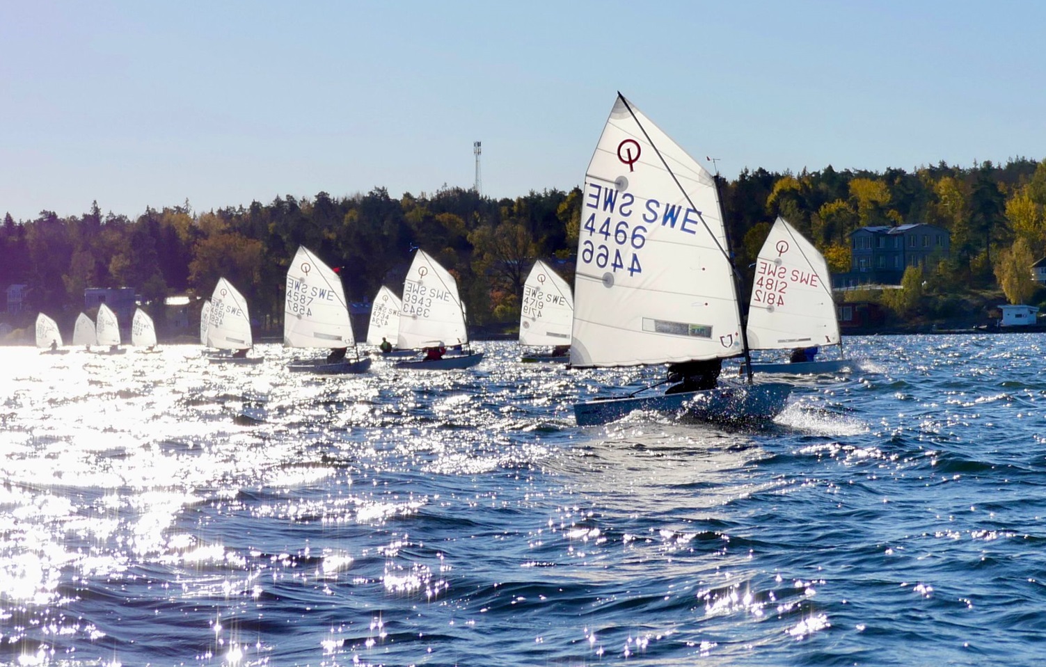 image: Lidingö Jolleseglare - där bredd & elit växer tillsammans