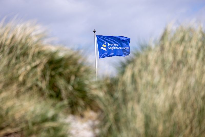 image: Nyheter från förbundsstyrelsen